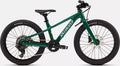 Specialized Riprock 20