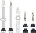 Wolf Tooth Tubeless Valve Stem Kit - 60 mm, Silver